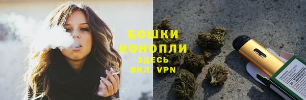 сатива Заволжск