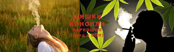 сатива Заволжск