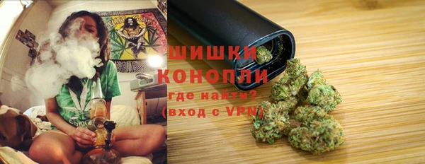 сатива Заволжск
