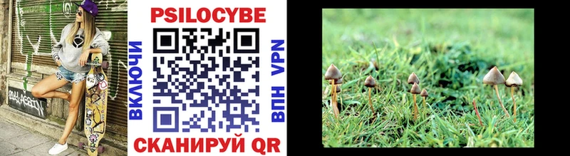 omg онион  Западная Двина  Псилоцибиновые грибы прущие грибы 